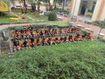 Ôi vườn rau đẹp quá